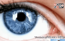 สีตาอาจเกี่ยวข้องกับการติดแอลกอฮอล์