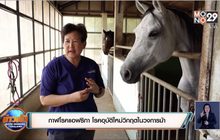 กาฬโรคแอฟริกา โรคอุบัติใหม่วิกฤตในวงการม้า