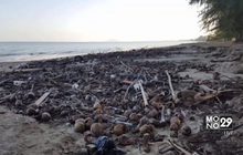 ขยะชายหาดบ้านกรูดเริ่มเน่าเหม็น จ.ประจวบคีรีขันธ์