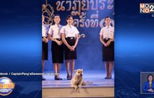 เจอแล้ว”เจ้าโบ้” สุนัขขี้อ้อน มหาวิทยาลัยดัง จอมแย่งซีน