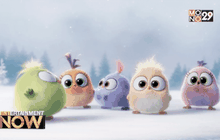 คลิปใหม่สุดน่ารัก ต้อนรับเทศกาล จาก The Angry Birds Movie