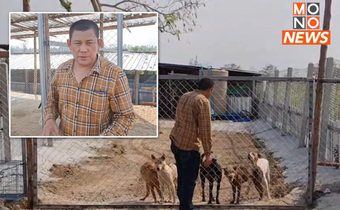 แห่ชื่นชม! นายกฯ อบต. ทุ่มทุนสร้างศูนย์ช่วยสุนัข-แมวจร