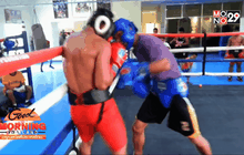 โปรโมเตอร์ดังขอปั้น “ปาเกียวจิ๋ว” ประดับวงการ