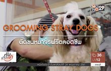 คนดีเปลี่ยนโลก Man Changes the World  ตอน:ตัดขนหมาจรฟรีตลอดชีพ