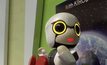 โตโยต้าเปิดตัวหุ่นยนต์จิ๋ว “Kirobo Mini”