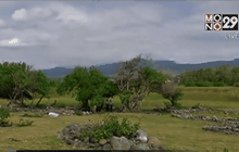 พบชิ้นส่วนใหม่ซัดขึ้นฝั่งบนเกาะเรอูนียง