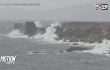 ไต้หวันเตรียมรับมือไต้ฝุ่นเซาเดโลร์