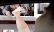 เริ่มใช้จุดเสียค่าปรับ แบบ DriveThru แห่งแรกในไทย