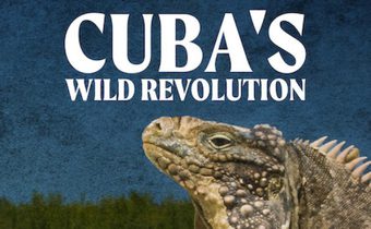 Cuba’s Wild Revolution