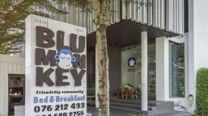 Blu Monkey Bed & Breakfast โฮสเทลสุดชิค จ.ภูเก็ต