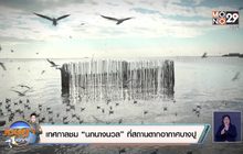 เทศกาลชม “นกนางนวล” ที่สถานตากอากาศบางปู