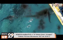 MONO29 ชวนลุ้นระทึกกับ ภ.“47 Meters Down: Uncaged” โปรแกรม Premium Blockbuster วันนี้ เวลา 20.50 น.