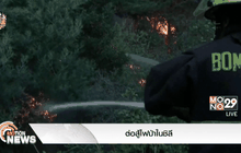 ต่อสู้ไฟป่าในชิลี