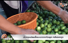 ประชาชนนิยมซื้อมะนาวจากกัมพูชา หลังราคาถูก