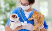 Zoetis ได้รับเลือกให้เป็นผู้จัดหาวัคซีนในโครงการธนาคารวัคซีนโรคพิษสุนัขบ้าของ OIE