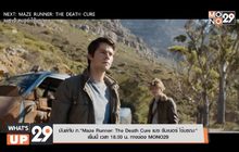 มันส์กับ ภ.”Maze Runner: The Death Cure เมซ รันเนอร์ ไข้มรณะ” เย็นนี้ เวลา 18.00 น. ทางช่อง MONO29