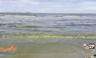 น้ำทะเลบางแสนเปลี่ยนเป็นสีเขียวทั้งชายหาด