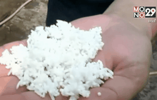 ชัดแล้ว! กรณีข้าวเหนียวปลอม ที่แท้คนขายหยิบถุงผิด