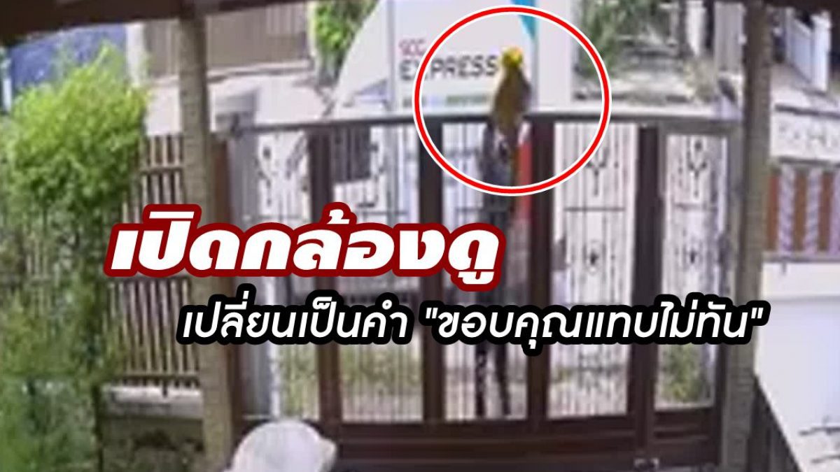 หนุ่มมีของขึ้น! คิดว่ากล่องพัสดุ โดนโยนส่งเข้ามาในบ้าน ก่อนเปิด CCTV ดูเปลี่ยนเป็นคำขอบคุณแทบไม่ทัน