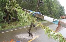 ฝนตกทำเสาไฟฟ้าล้ม-ไฟดับหลายพื้นที่
