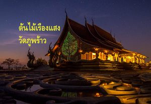 ไฮไลท์เมืองอุบล ยลความงามยามค่ำคืน ต้นไม้เรืองแสงที่ วัดภูพร้าว