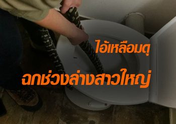 สาวดวงซวย ถูกไอ้เหลือมฉกช่วงล่าง ขณะนั่งชักโครก