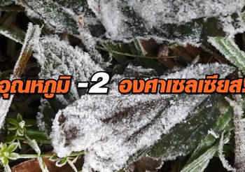หนาวสะท้าน!! ยอดดอยอินทนนท์เช้านี้ อุณหภูมิติดลบ 2 องศาฯ