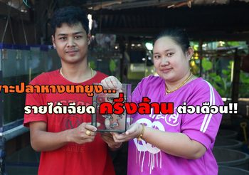อดีตกุ๊กทำอาหารเพาะ ‘ปลาหางนกยูง’ ส่งออกรายได้เฉียดครึ่งล้านต่อเดือน