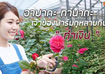 สาวญี่ปุ่นวัย 25 หันทำฟาร์มกุหลาบกินได้-แปรรูป ทำเงิน 100 ล้านเยนต่อปี