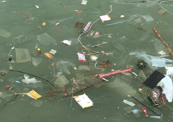 ขยะลอยทะเลเกลื่อน ใต้สะพานท่าเรือบาลีฮายพัทยาใต้