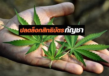 นายกรัฐมนตรี ใช้ ม.44 ปลดล็อกสิทธิบัตรกัญชา