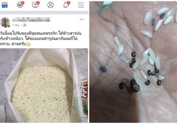 แฟชั่น All black style แมทช์ง่ายได้ทุกชุด