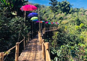สะพานไม้ไผ่ไร่ผาฮี้ จ.เชียงราย เดินย่ำสกายวอร์คดูวิว ฟินไปกับธรรมชาติรอบตัว