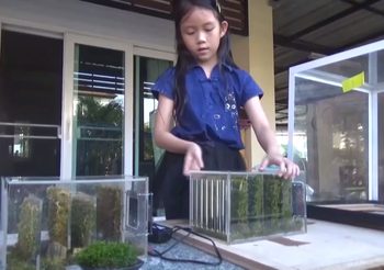 สุดทึ่ง!! ‘น้องยินดี’ เด็ก ป.3 ใช้มอสเปลี่ยนฝุ่น PM2.5 เป็นออกซิเจนในบ้าน