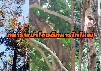 ทหารพม่าเปิดศึกยิงปืนใหญ่โจมตีทหารไทใหญ่ เขตรอยต่อ อ.ปางมะผ้า