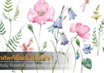 คำศัพท์ภาษาอังกฤษชื่อดอกไม้ไทย