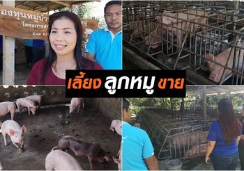 ลุงอายุ 60 ฟิตหุ่น เปลี่ยนตัวเองให้ฟิต จนวัยรุ่นยังอาย บอกได้เลยว่าฟิต!