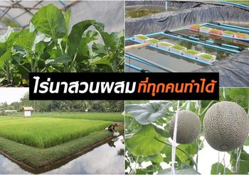 Jonny Kim ผู้ชายต้นแบบ ที่เป็นทั้ง ทหาร-หมอ-นักบินอวกาศ