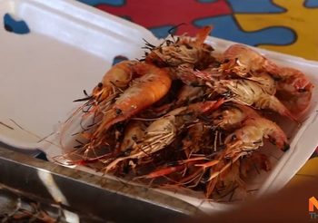 ชาวขอนแก่นไม่ควรพลาด ‘ร้าน ก.กุ้งสด’ เนื้อแน่นๆ ทานคู่กับน้ำจิ้มสูตรลับ รับประกันฟินเว่อร์