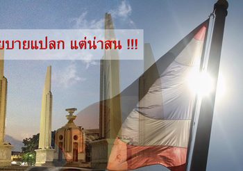 เลือกตั้ง62 :  นโยบายพรรคการเมืองสุดแหวก แปลกจริงๆ