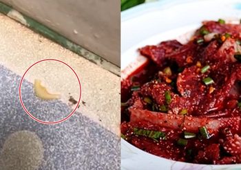 เตือนกินเมนูดิบๆเสี่ยงโรค หลังพบ ‘พยาธิตัวตืด’ หลุดจากก้นคลานบนพื้น