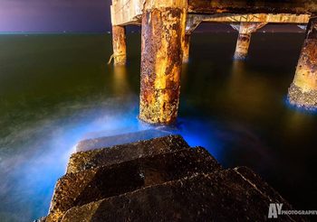 ทะเลบางแสน เรืองแสงสีฟ้าวาววับในยามค่ำคืน ปรากฏการณ์ธรรมชาติที่หาดูยาก