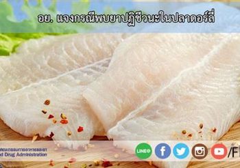อย. แจงกรณีพบสารปนเปื้อนยาปฏิชีวนะในปลาดอร์ลี่
