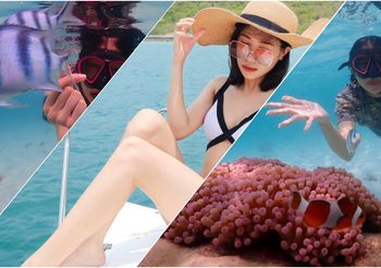 รีวิว เที่ยวแสมสาร สัตหีบ ดำน้ำ ดูประการังแบบ เช้าไป-เย็นกลับ