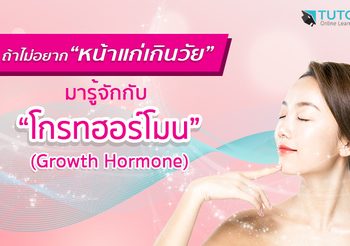 ไปถ่ายรูป! ดอกเหลืองอินเดีย เบ่งบานเต็มถนน ที่ทุ่งช้าง จ.น่าน