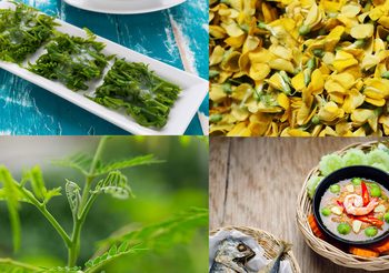 15 ผักพื้นบ้าน ที่มีธาตุเหล็กสูง บำรุงเลือด ป้องกันโรคโลหิตจาง