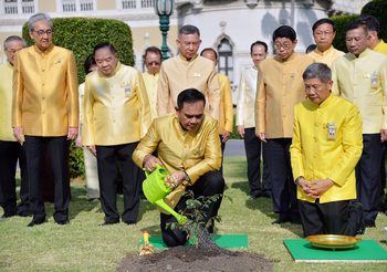 ‘บิ๊กตู่’ ปลูกต้นรวงผึ้ง ปฐมฤกษ์ ในโครงการ “1 จังหวัด 1 ถนนเฉลิมพระเกียรติ”