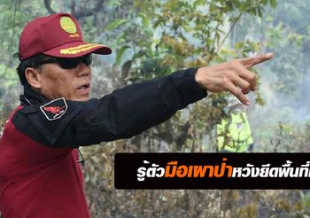 กรมป่าไม้ ระดมกำลังดับ ‘ไฟป่าเชียงใหม่’ พบเป็นการเผาป่าหวังยึดครองพื้นที่