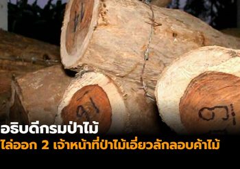 อธิบดีกรมป่าไม้ ไล่ออก 2 เจ้าหน้าที่ป่าไม้เอี่ยวลักลอบค้าไม้ข้ามชาติ