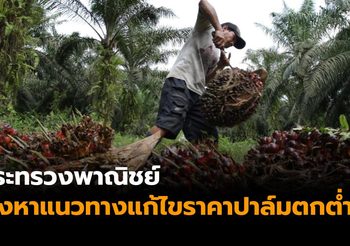 กระทรวงพาณิชย์ เร่งหาแนวทางแก้ไขปัญหาราคาปาล์มตกต่ำ